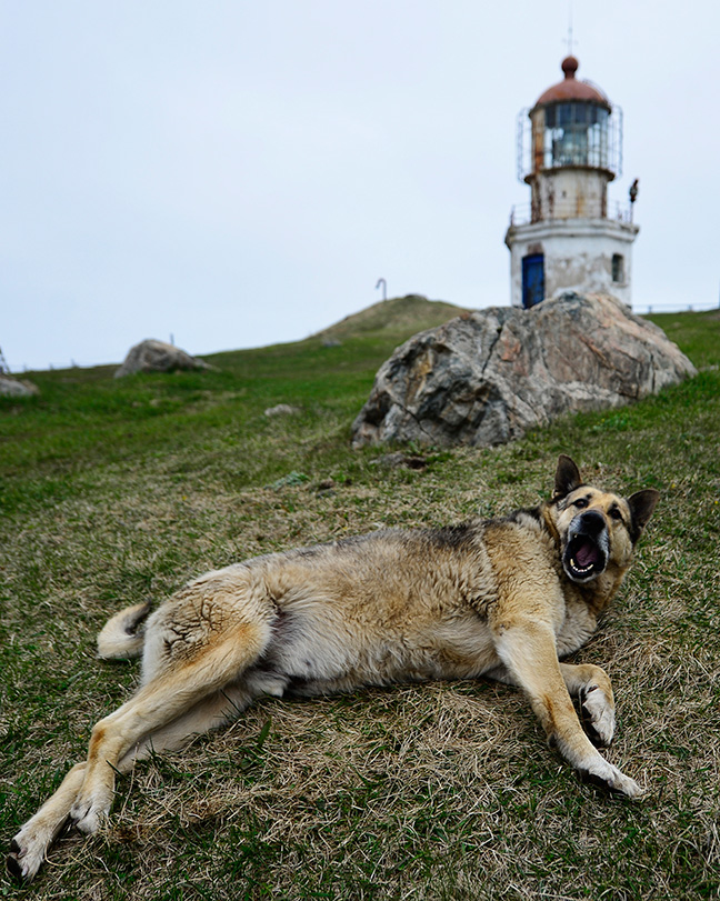 　1892年に設立されたポヴォロトヌイ (旋回) 灯台は、ウラジオストクから204キロの位置にある。
