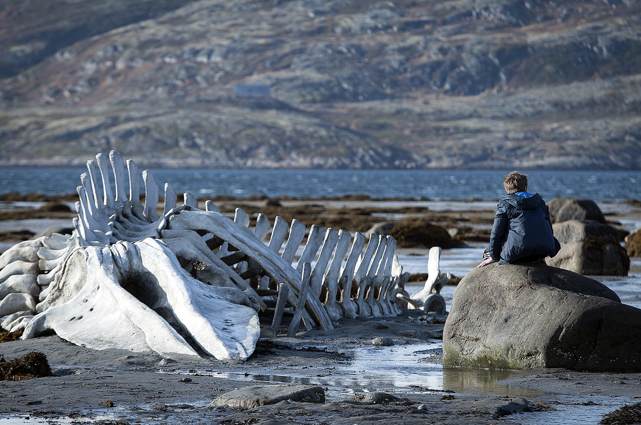 Eine Szene aus dem Film "Leviathan". 