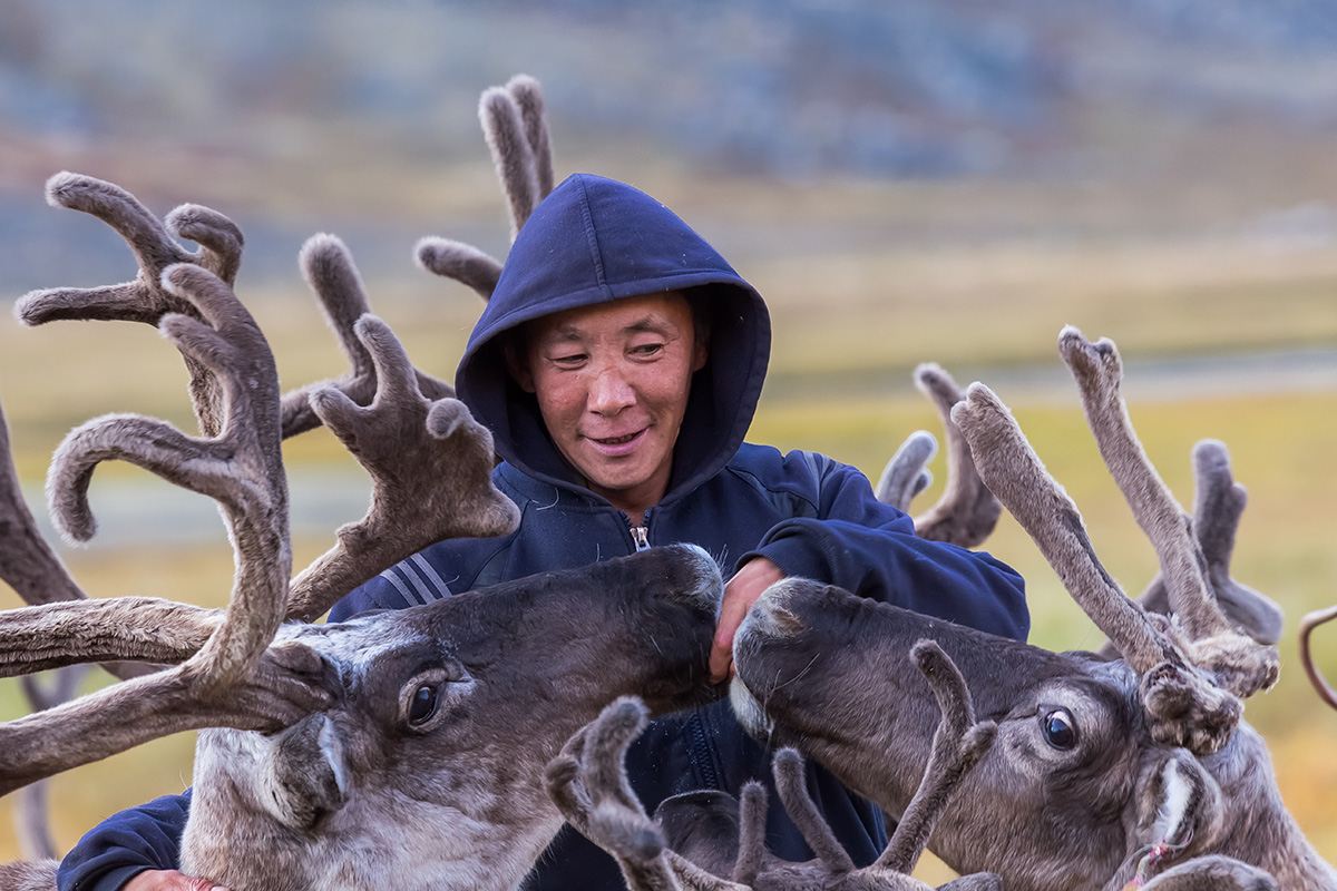 Chasing the reindeer, and following the roe. My heart's in Chukotka, wherever I go. Kirill Uyutnov. See more...