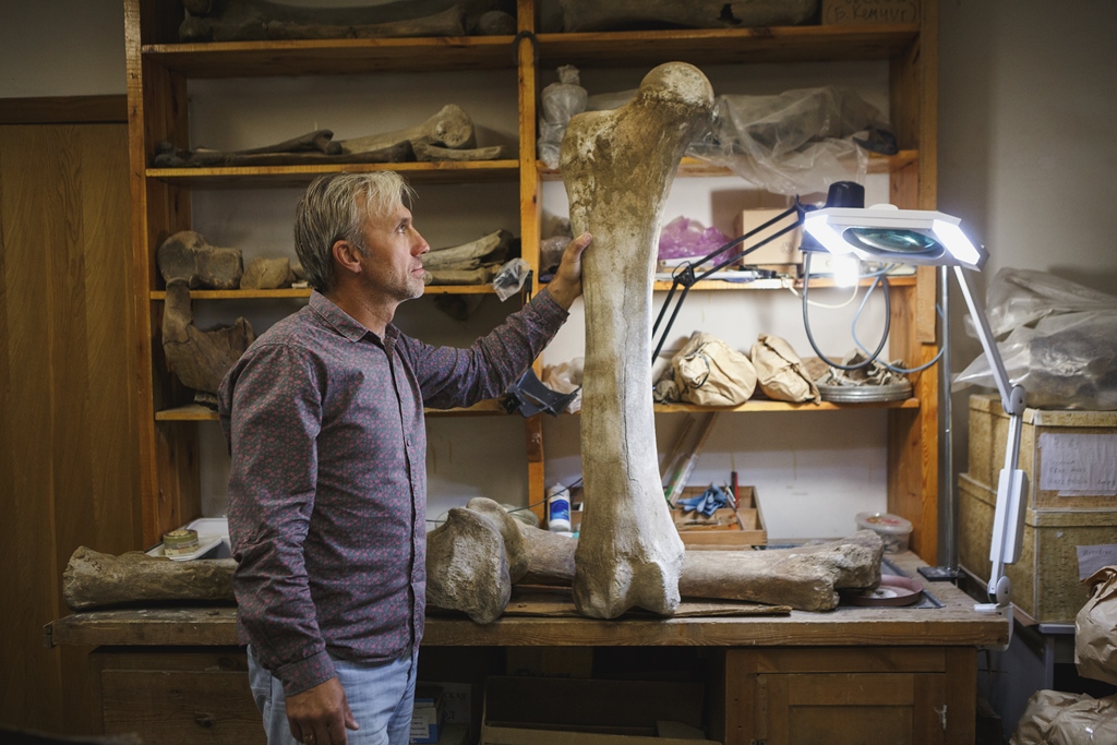 An almost 1.15 meter long thigh bone is one of the largest items. Experts believe it belonged to an approximately 50-year-old male mammoth. Photo: Paleontologist Sergei Leshchinsky, leader of the expedition to Volchya Griva.