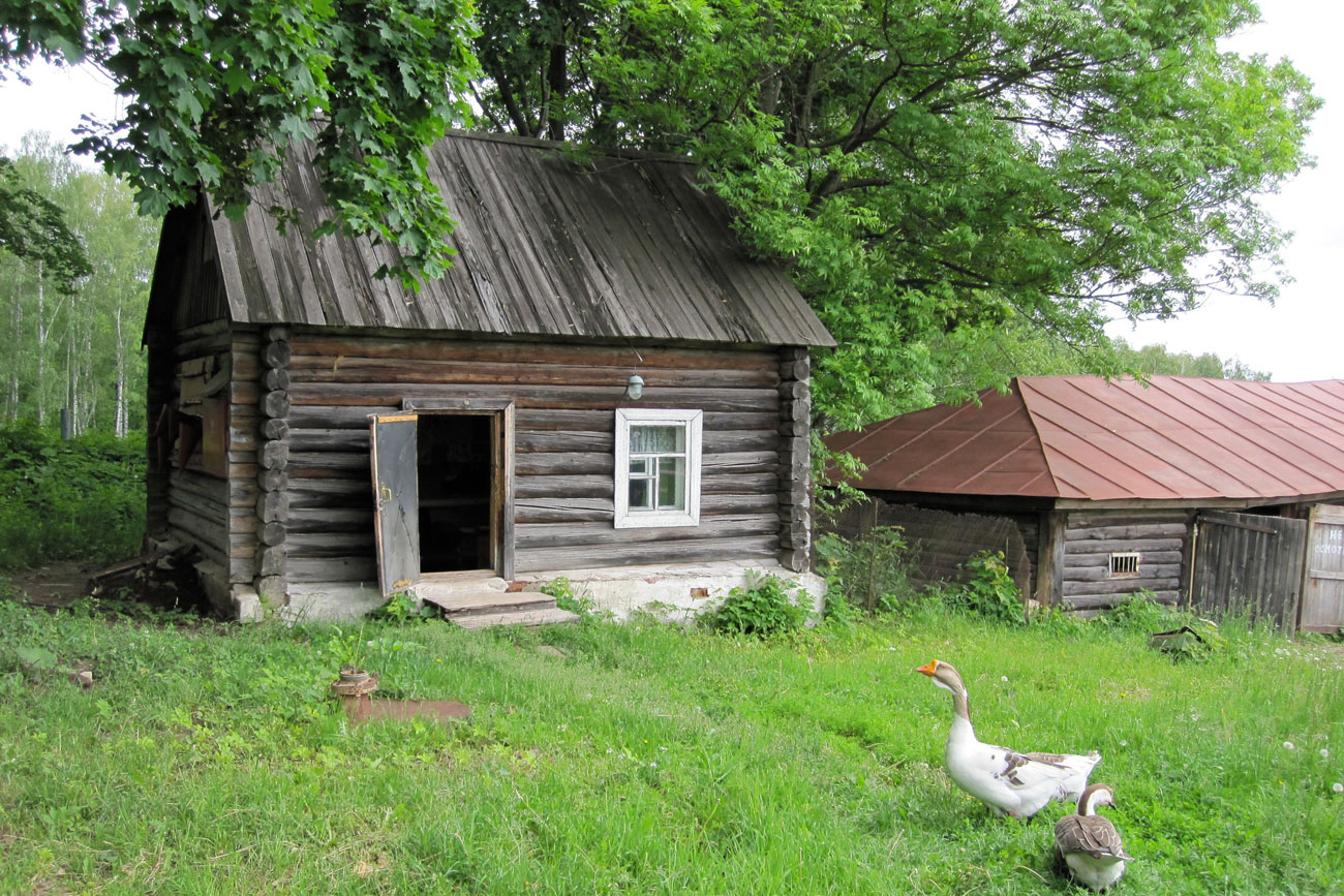 Една от често срещаните селски сцени в Ясна поляна. В къщата-музей все още живеят коне и други животни, точно като във времената на Толстой.