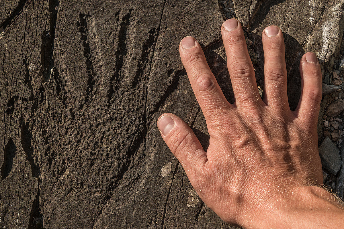 На овој слици на камену која потиче из бронзаног доба (настала је око 1.500. године пре наше ере) види се човечија рука. Међу Алтајским петроглифима ово је врло редак мотив, јер међу хиљадама њих постоје само два са приказом руке.