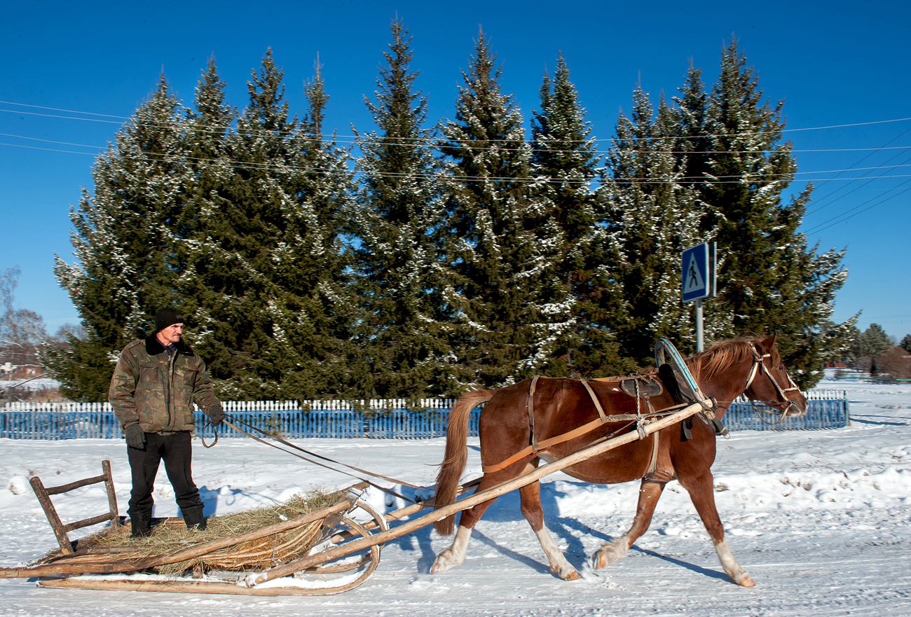 Carro tirado por caballos en Beriózovka, pueblo del óblast de Tomsk.