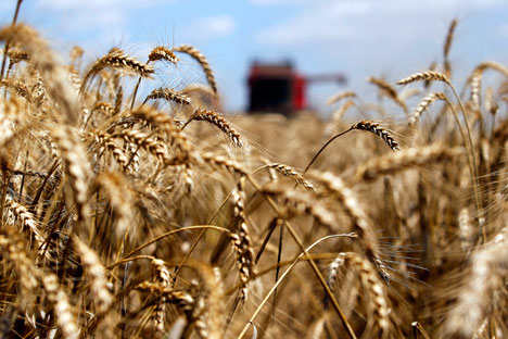 Russia starts grain export to China