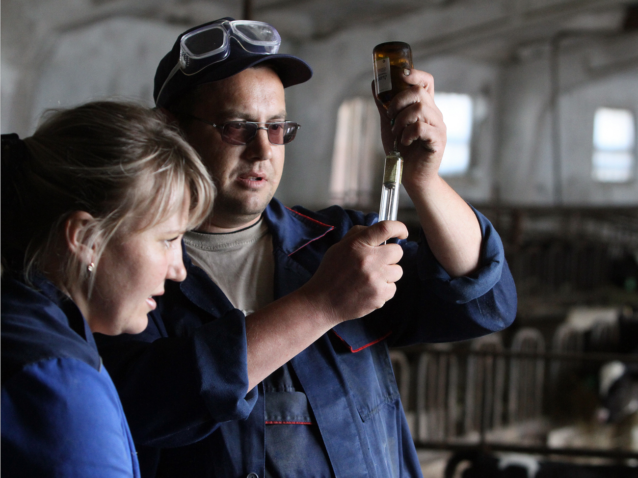 Vaccinated animals could further “infect” the rest of the herd.