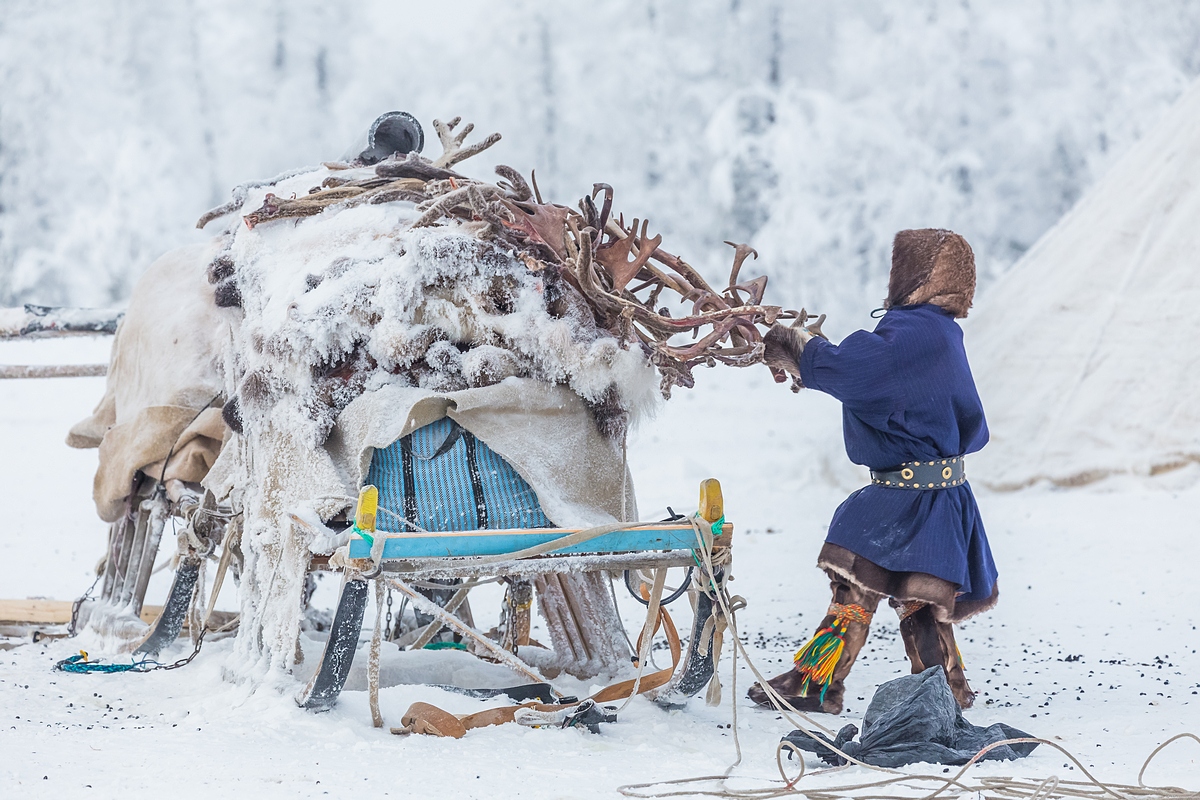 Nello Yamal vivono circa 40.000 persone, di cui 15.000 nomadi, che trascorrono la vita spostandosi da un posto all’altro seguendo i ritmi delle renne