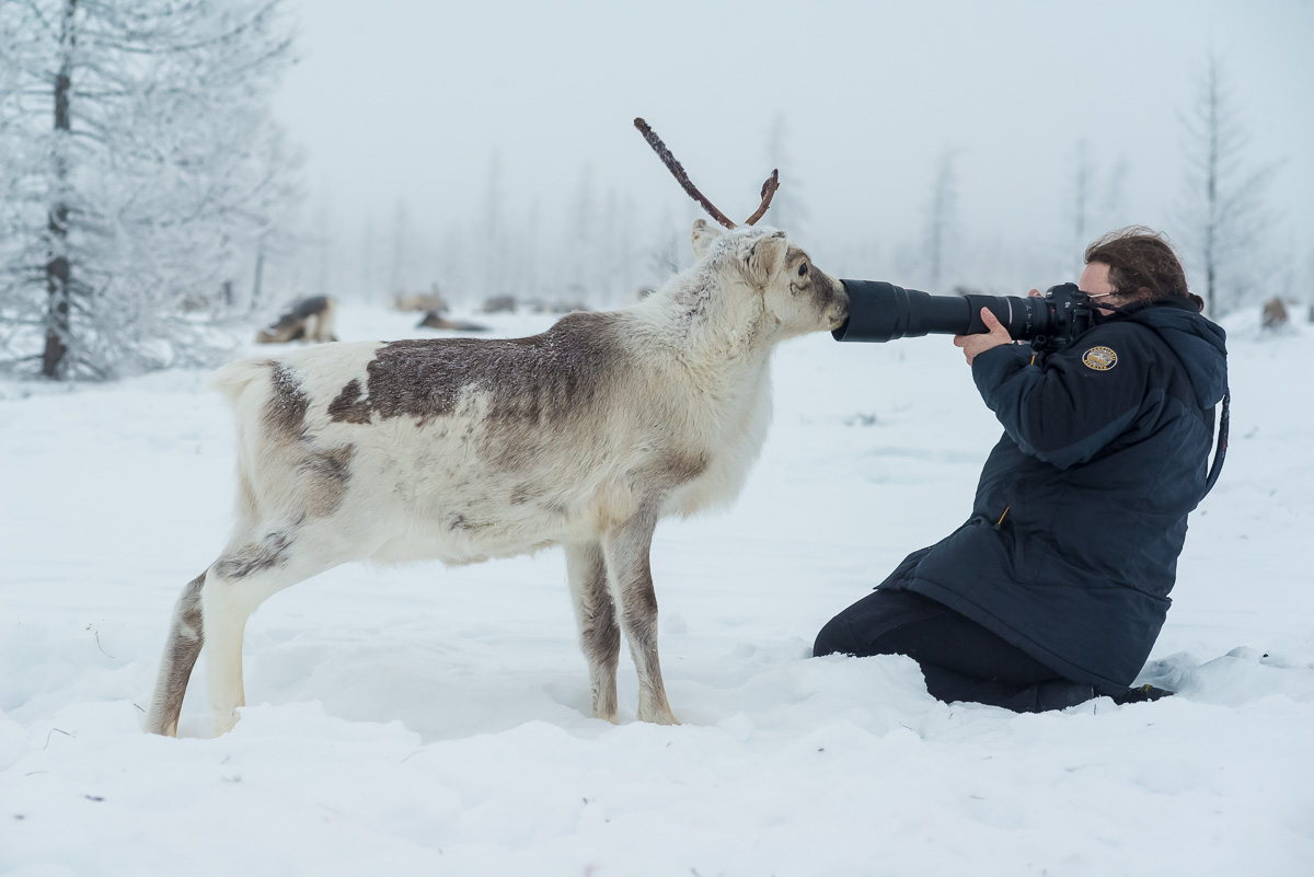 L’allevamento delle renne è la principale attività delle popolazioni locali. La pelle di questi animali viene utilizzata per costruire yurte, abiti e la carne viene mangiata e venduta al mercato