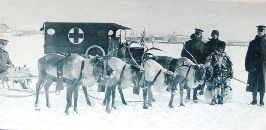 　冬には、馬よりも北部の気候に慣れているシカが引くソリが利用された。