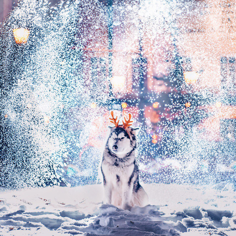 Marchés de Noël, décorations lumineuses, patinoires et salons de thé : la capitale russe réchauffe le cœur à cette époque de l’année.