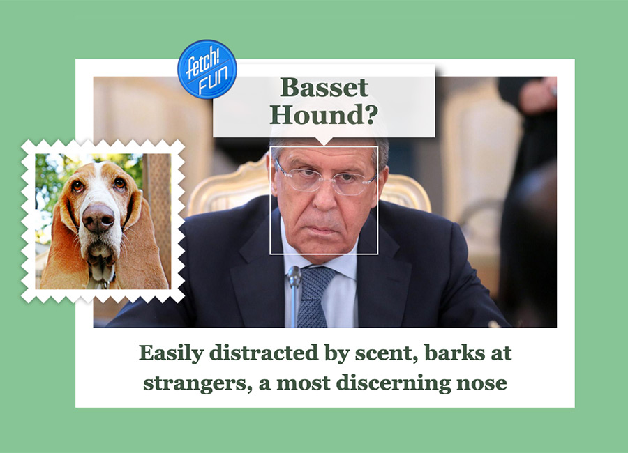 Sergey Lavrov (Russian diplomat and currently the Foreign Minister of Russia) as Basset Hound.