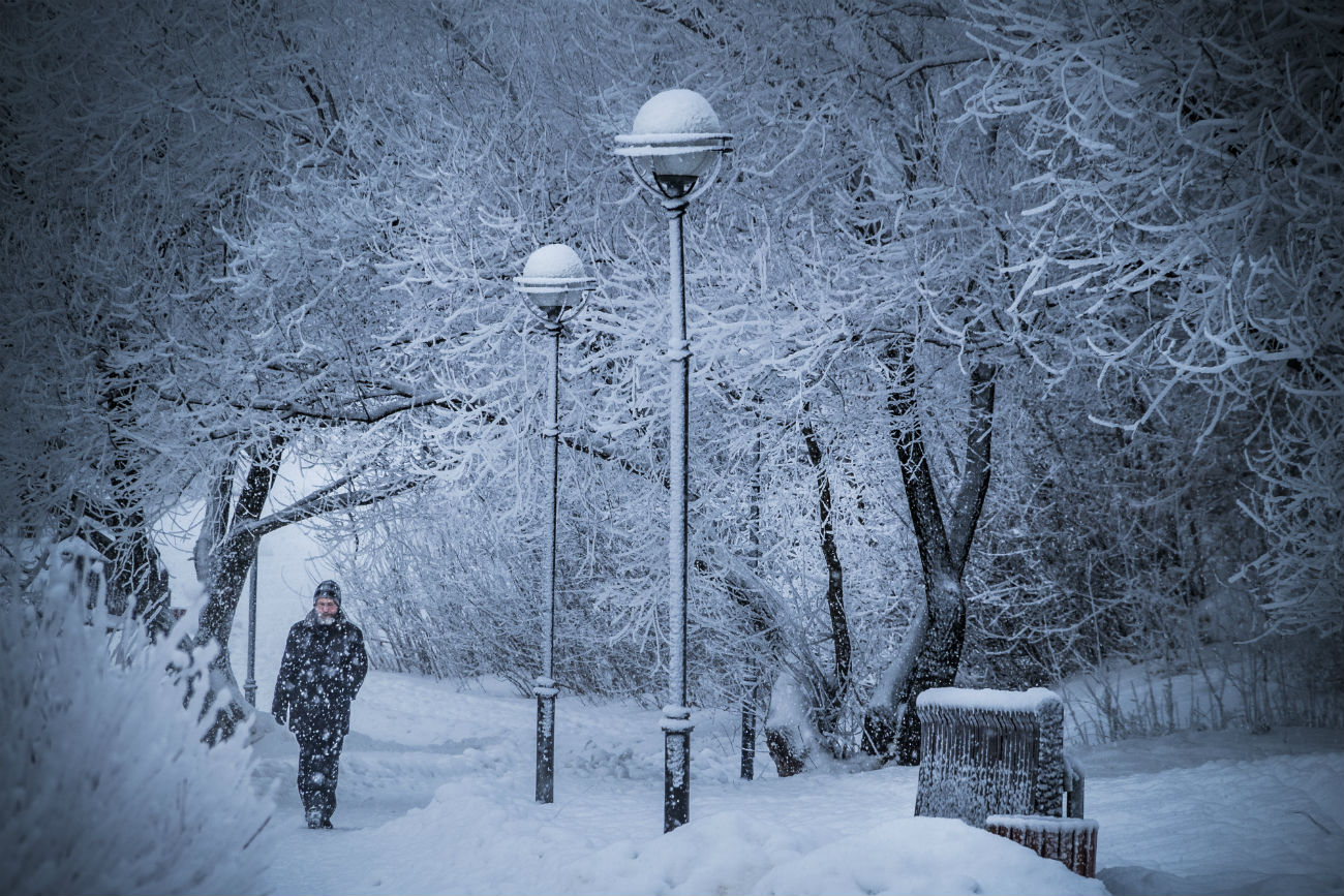 Une journée d’hiver, Moscou, le 20 décembre 2016.