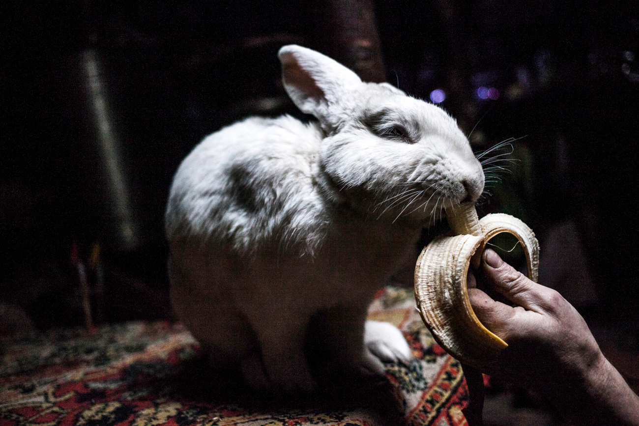 Vive in compagnia di un coniglietto addomesticato di nome Petrusha, che ama mangiare kasha e banane
