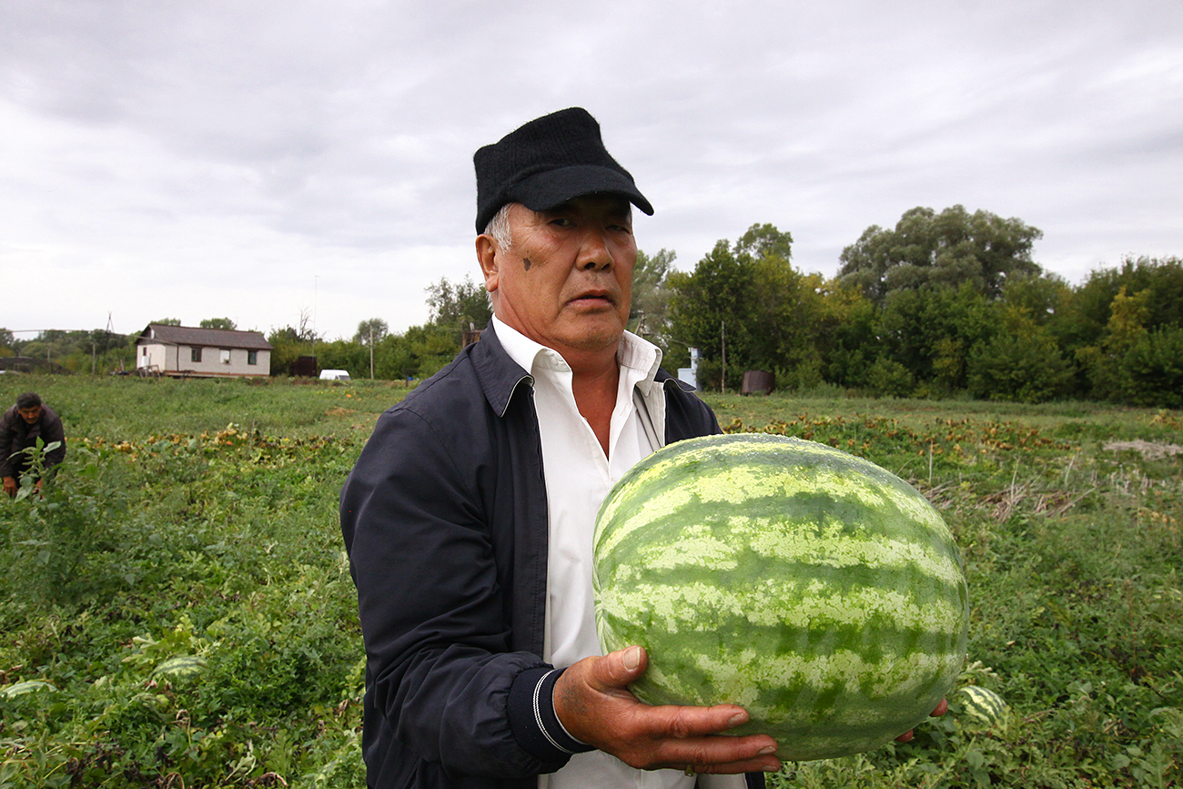 Bureaucrat-turned-farmer Sim Oyra is Bashkortostan’s watermelon pioneer.