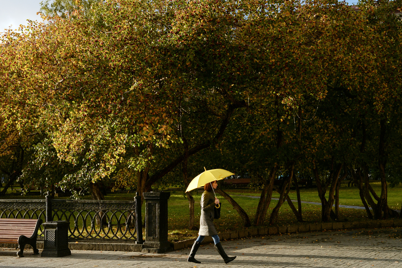 노보시비르스크 시, 우산을 들고 가는 여성. 