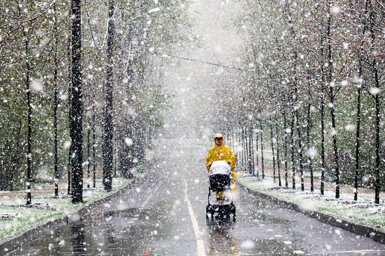 MOSCOW, RUSSIA - MAY 8, 2017: A person with a baby stroller in Moscow's Sokolniki Park during a heavy snowfall.