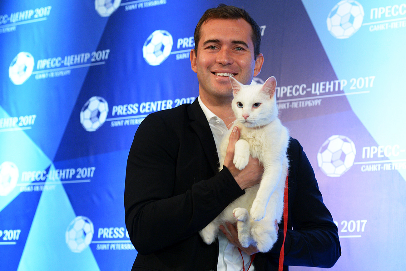 Aquiles, um gato branco e surdo que mora no Hermitage, será o vidente da Copa das Confederações 2017