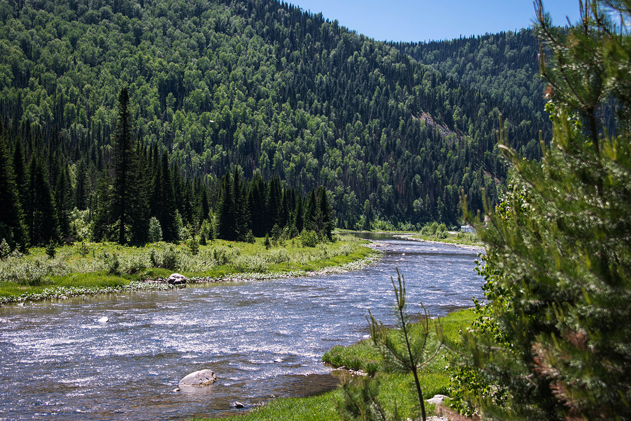 En juin, la chaleur estivale règne déjà sur les étendues de l'Altaï. Étonnamment, alors qu'elle paraissait si fraîche, l'eau de la rivière s'est avérée très chaude.