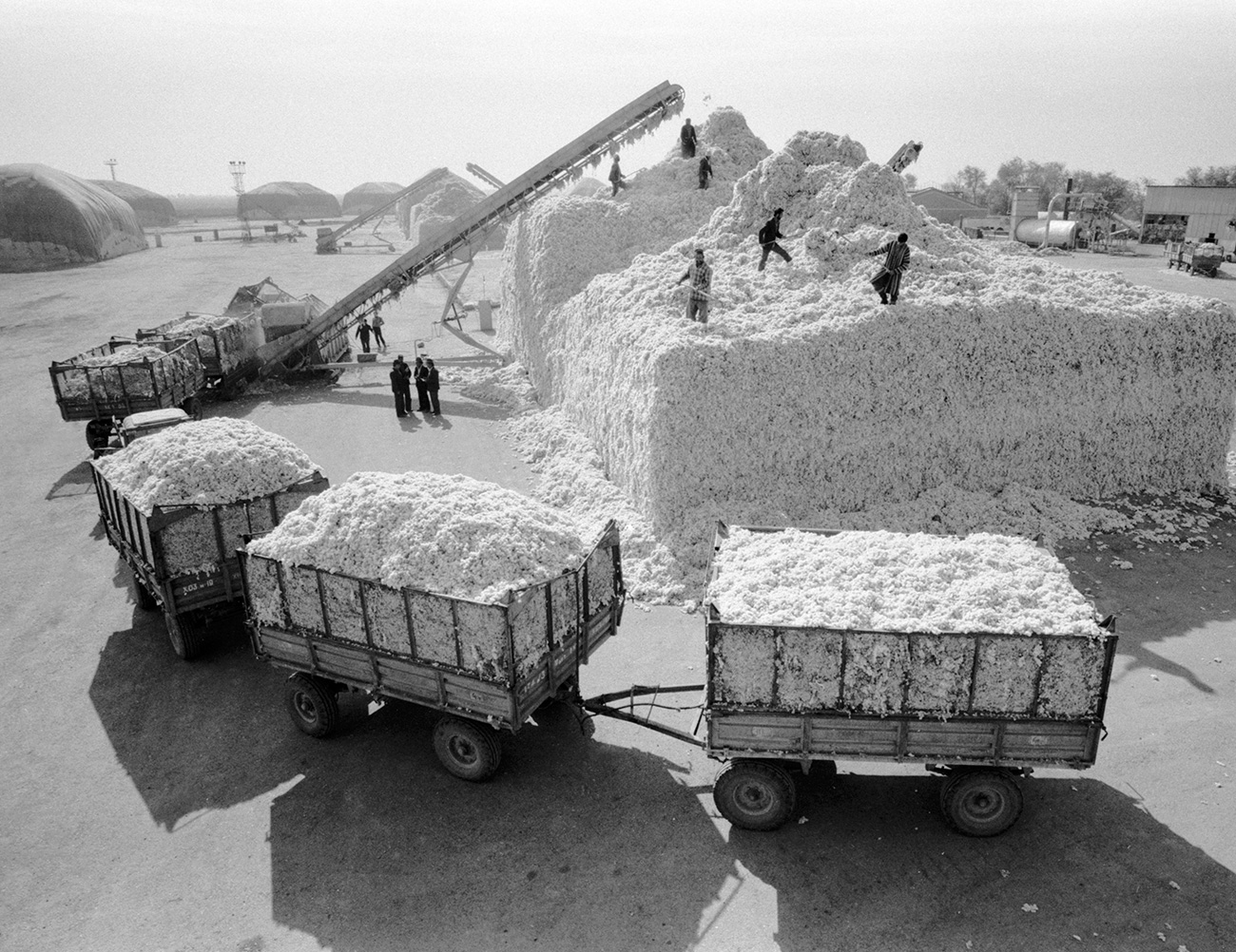 To make up for the shortfall, cottonpickers started putting stones in their sacks, and empty rail carriages were dispatched to Moscow where dishonest officials would take bribes to record them as being full. // Kazakh SSR
