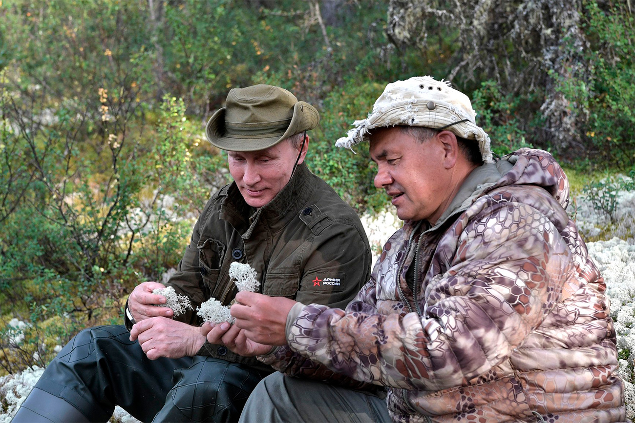 // Vladimir Poutine et Sergueï Choïgou examinent des mousses blanches de la taïga.