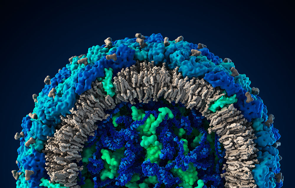 Imagem em 3D do vírus da zika