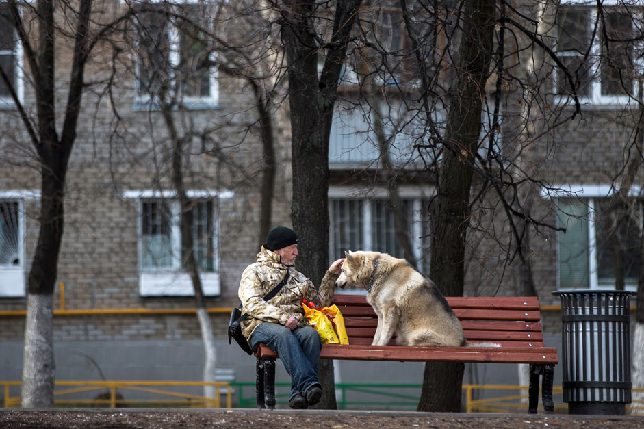 A man pets his dog on a bench in Moscow as they both enjoy the warm spring sun on April 28, 2015.