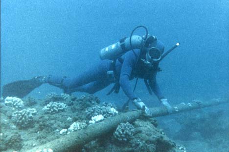 Foto: The Official CTBTO Photostream
