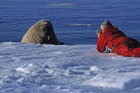A equipe de quarenta pessoas, incluindo cientistas e membros da WWF Rússia, permanecerá em águas territoriais russas no Ártico até o final deste mês. Foto: Getty Images