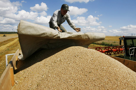 Trigo russo abastecerá mais de 10.000 padarias no país latino-americano