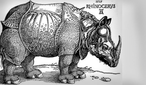 Rinocerontes de Merck viviam em paisagens florestais, preferindo arbustos e grama alta Foto: uralinform.ru