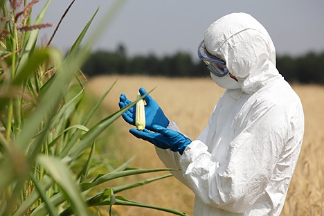 Custo do produto final pode ser reduzido em 20%, além de melhorar controle sobre pragas Foto: Shutterstock.com