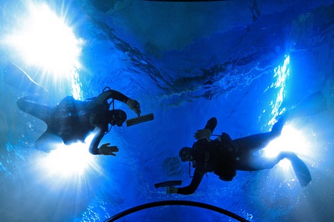 Oceanário será localizado no centro de exposições VDNKh Foto: Artiom Korotáiev/TASS