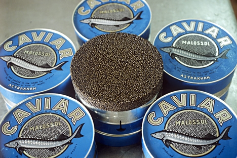 O valor total do caviar apreendido é de 20 milhões de rublos Foto: Boris Babanov/RIA Nóvosti