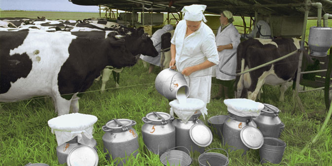 Derzeit liegt der Entwurf für ein Gesetz über ökologische Produktion vor. Es könnte noch 2013 in Kraft treten. Foto: RIA Novosti
