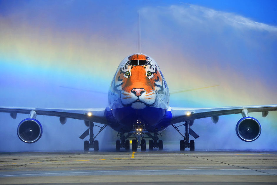 Eine Boeing der Fluggesellschaft Transaero landet am „Tag des Tigers“ in Wladiwostok.
