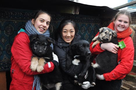 Jiyoon Park (center) with her friends in the abandoned dogs shelter located outside Moscow. Source: Press photo