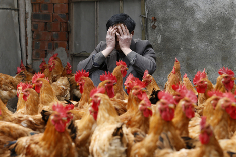 Presença de cloro em frango brasileiro é motivo de desacordo entre autoridades desde 2011 Foto: Reuters