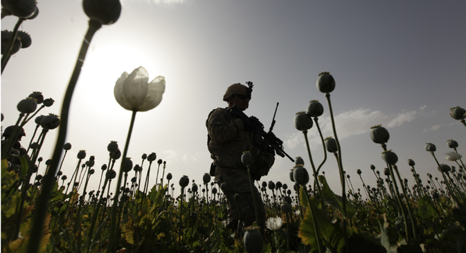 A soldier from the U.S. Army walks through a poppy field during an operation in the Arghandab River Valley in Kandahar Province. Source: Reuters