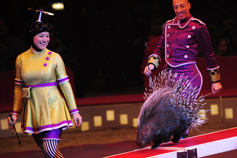 The animal question in the world of circus - Russia Beyond
