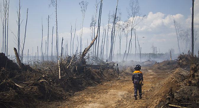 A forest ravaged by a peat fire that emerged due to an abnormal heat. Source: ITAR-TASS