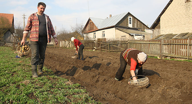 The “produce war” between Russia and the West is encouraging an already growing trend towards growing your own food. Source: ITAR-TASS