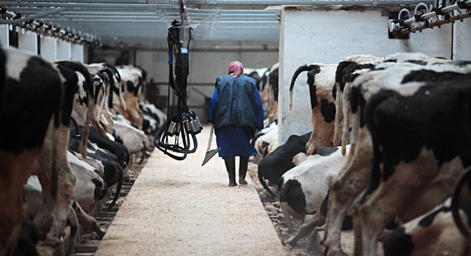 30Sec Milk founders say short distances for transporting milk from the farm to the consumer are one of their main profits. Source: Igor Russak / RIA Novosti