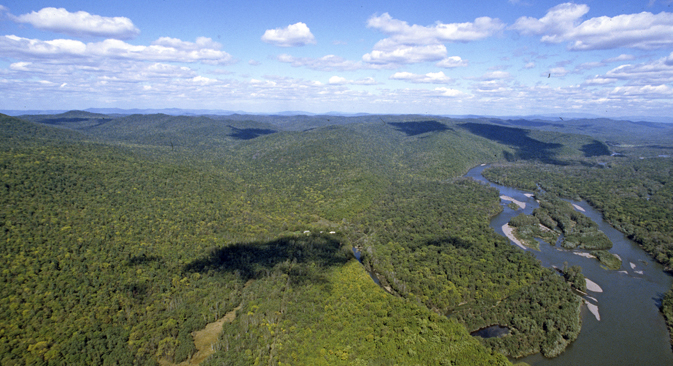 The view of Ussuri taiga in Russia's Far East. Source: Aleksandr Lyskin / RIA Novosti