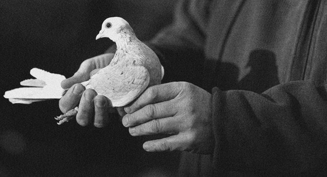 Pigeon race was regularly held in Russia in the beginnig of 20th century. Source: Alamy / Legion Media