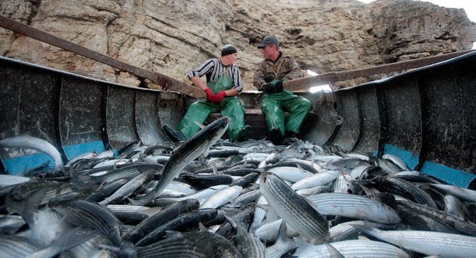 Russian fishing vessels do just not navigate Russian waters. They are found in the North Atlantic, as well as around Africa. Source: Reuters