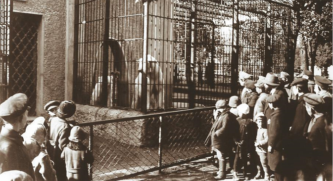 Moscow zoo, 1910s. Source: Press photo