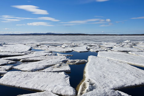 Every year, thousands of ice floes break off from the ice caps of the archipelagos of Spitzbergen, Franz Joseph Land, and Novaya Zemlya. Source: ShutterStock/Legion Media