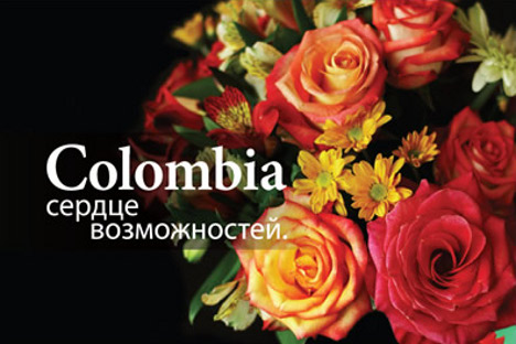 Las flores con mayor cuota de exportación al país euroasíatico son las rosas, los claveles y los crisantemos. Fuente: Proexport.com.