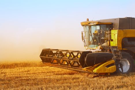 En el 2010 debido a la sequía y los incendios se perdió casi un tercio de la producción de grano y hubo por ello un embargo sobre las exportaciones. Fuente: Lori.