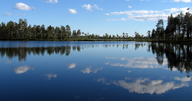 Naturaleza de la Pinínsula de Kola. Fuente: Flickr / Vlad Tuchkov. 