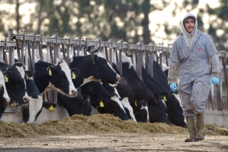 Los principales proveedores de carne a Rusia son Brasil, Paraguay y Uruguay. Fuente: AP